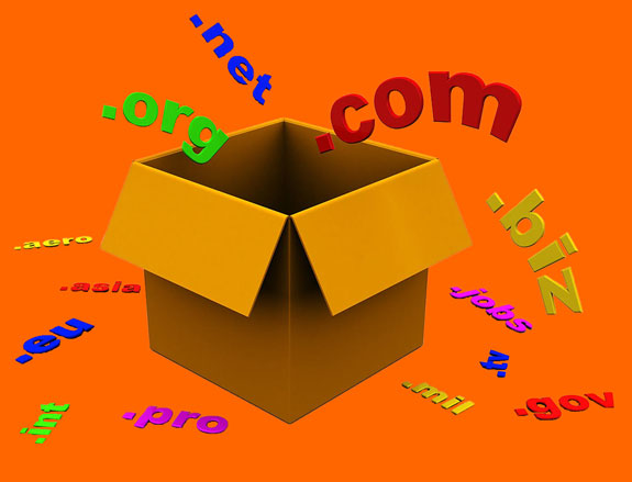 Domain Names
